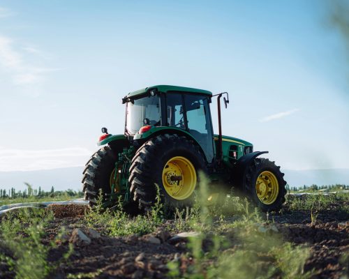 pexels-andres-alaniz-461433202-29465456