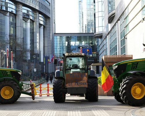 pexels-ieva-brinkmane-1052950035-20432165